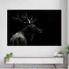 Monochrome Bull Elk Wall Art