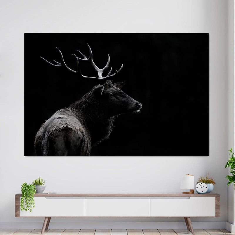 Monochrome Bull Elk Wall Art