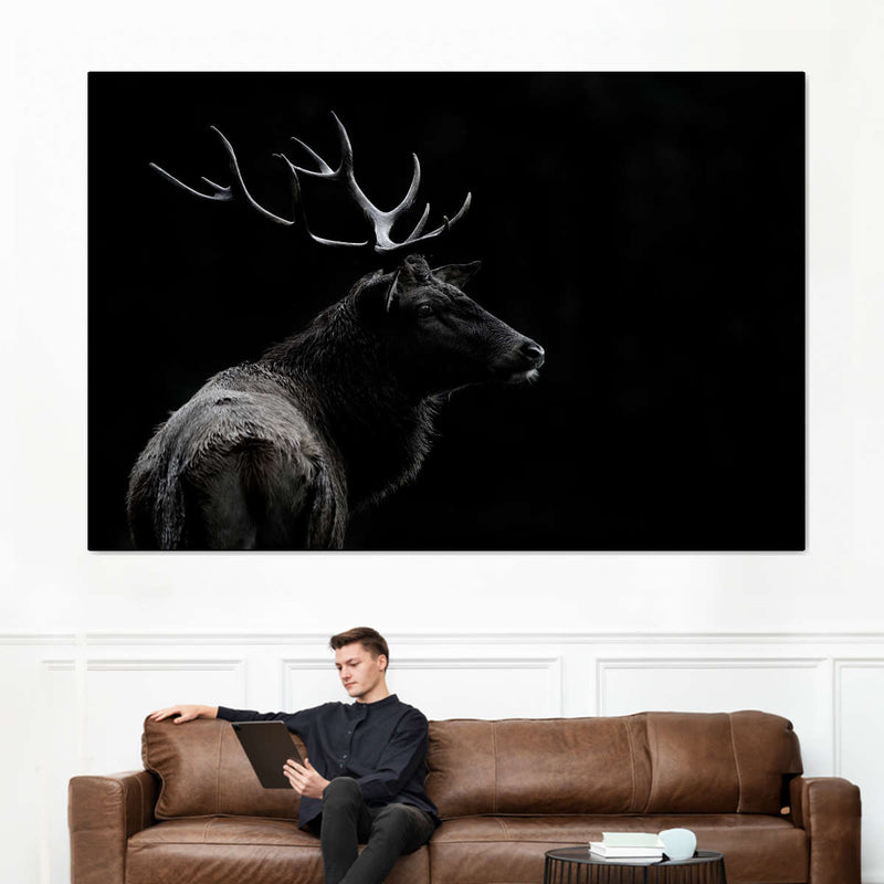 Monochrome Bull Elk Wall Art