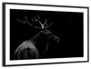 Monochrome Bull Elk Wall Art