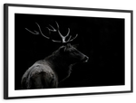 Monochrome Bull Elk Wall Art