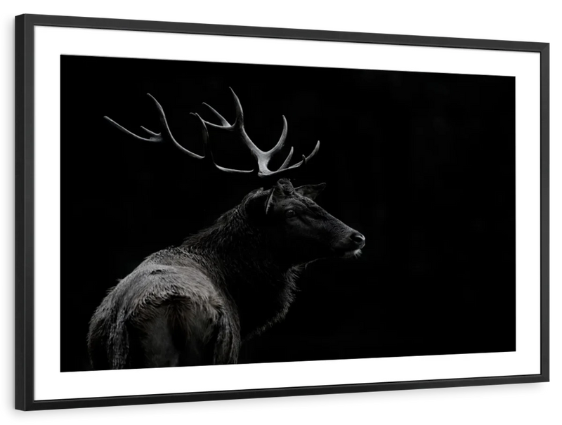 Monochrome Bull Elk Wall Art