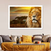 Lion In African Safari Wall Art