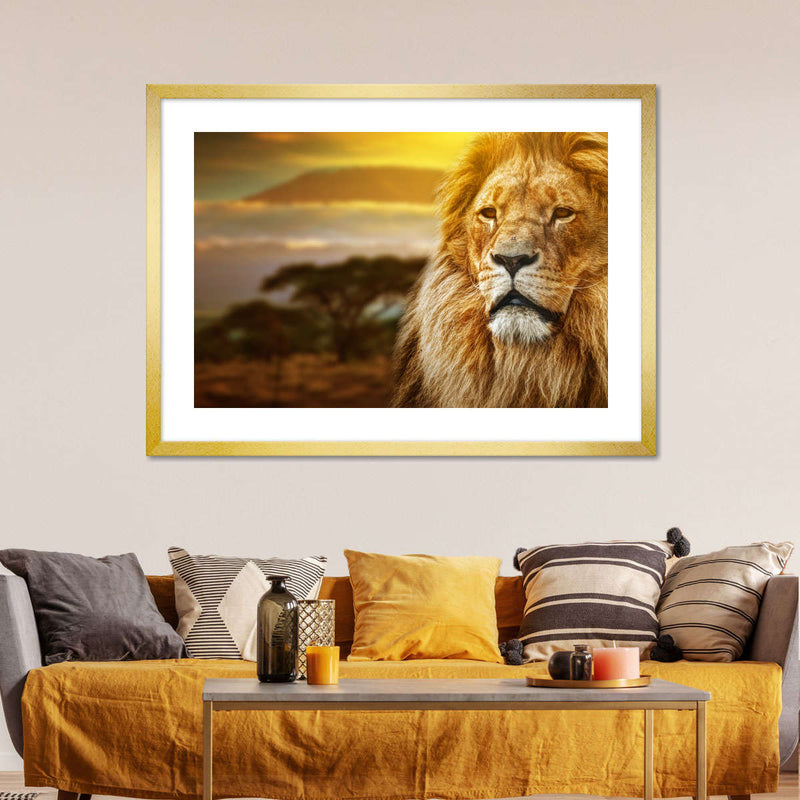 Lion In African Safari Wall Art