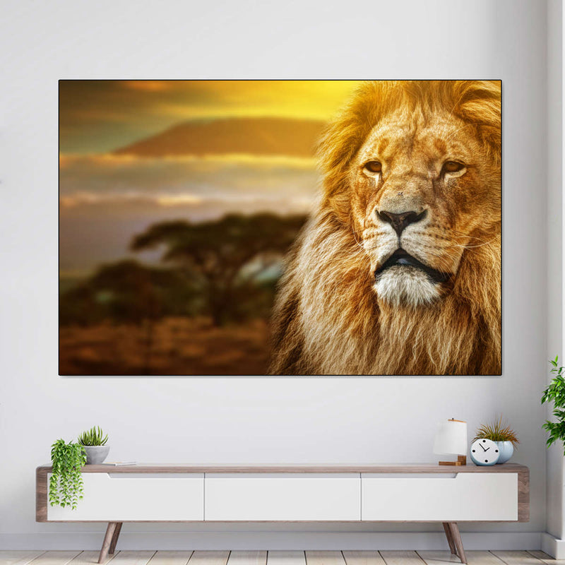Lion In African Safari Wall Art