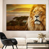 Lion In African Safari Wall Art