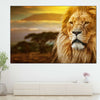 Lion In African Safari Wall Art