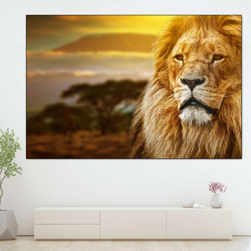 Lion In African Safari Wall Art