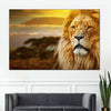 Lion In African Safari Wall Art