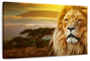 Lion In African Safari Wall Art
