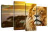 Lion In African Safari Wall Art