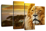 Lion In African Safari Wall Art