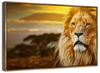 Lion In African Safari Wall Art