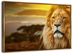 Lion In African Safari Wall Art