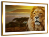 Lion In African Safari Wall Art