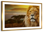 Lion In African Safari Wall Art