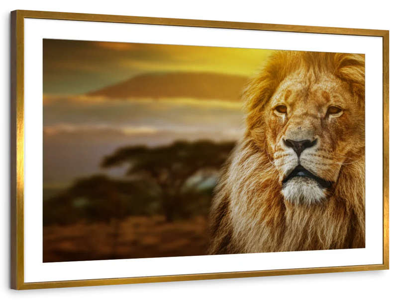 Lion In African Safari Wall Art