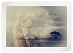 Kingdom Of Lions Wall Art