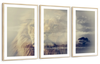 Kingdom Of Lions Wall Art