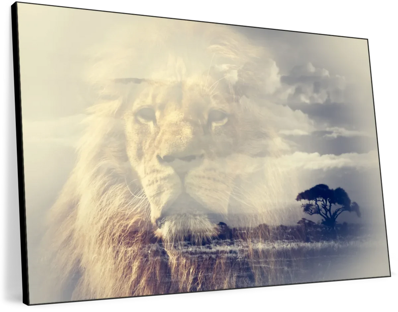 Kingdom Of Lions Wall Art