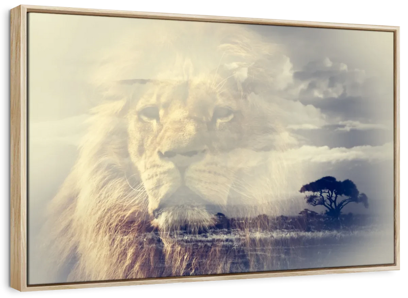 Kingdom Of Lions Wall Art