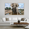 Safari Elephants Wall Art