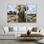 Safari Elephants Wall Art
