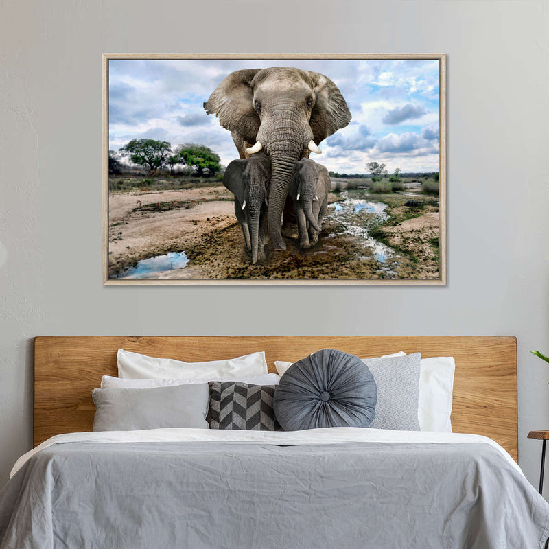 Safari Elephants Wall Art