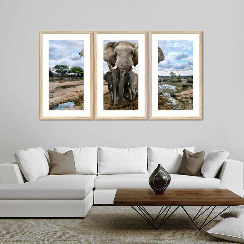 Safari Elephants Wall Art