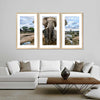 Safari Elephants Wall Art