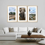 Safari Elephants Wall Art