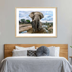 Safari Elephants Wall Art