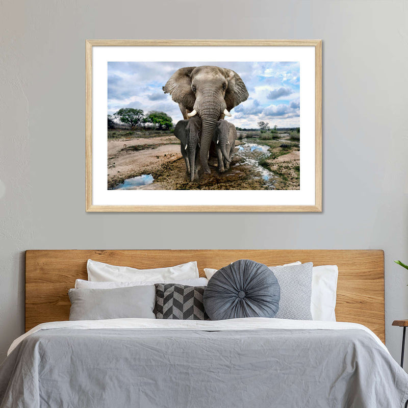 Safari Elephants Wall Art