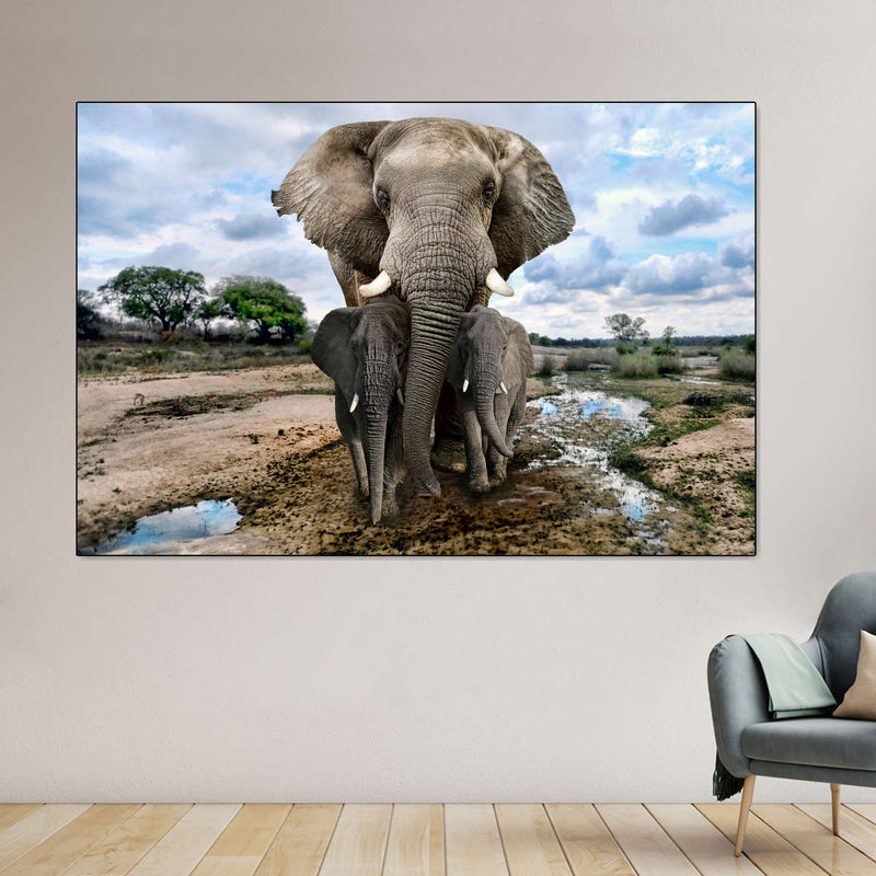 Safari Elephants Wall Art