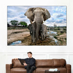 Safari Elephants Wall Art