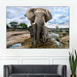 Safari Elephants Wall Art