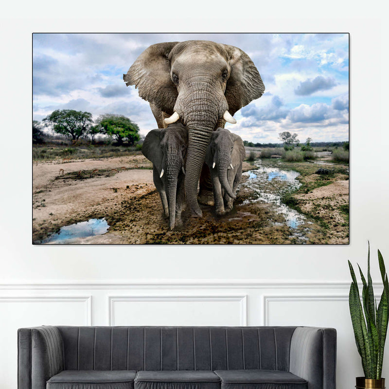 Safari Elephants Wall Art
