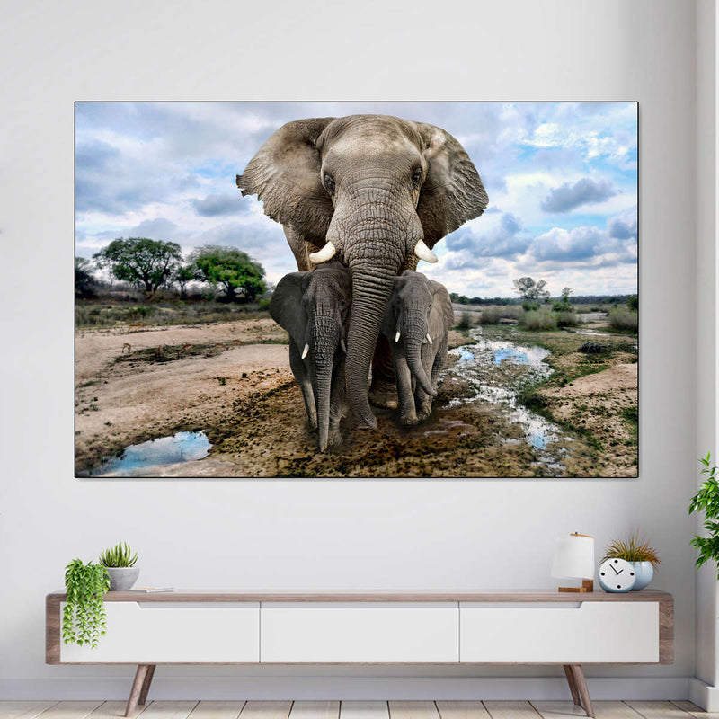 Safari Elephants Wall Art