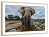 Safari Elephants Wall Art