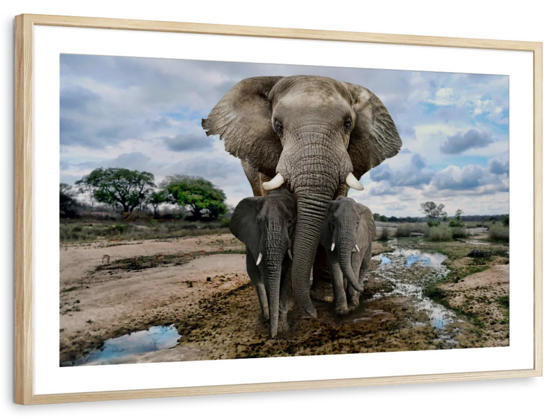 Safari Elephants Wall Art