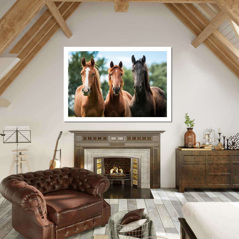 Young Horses Wall Art