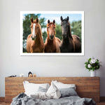 Young Horses Wall Art