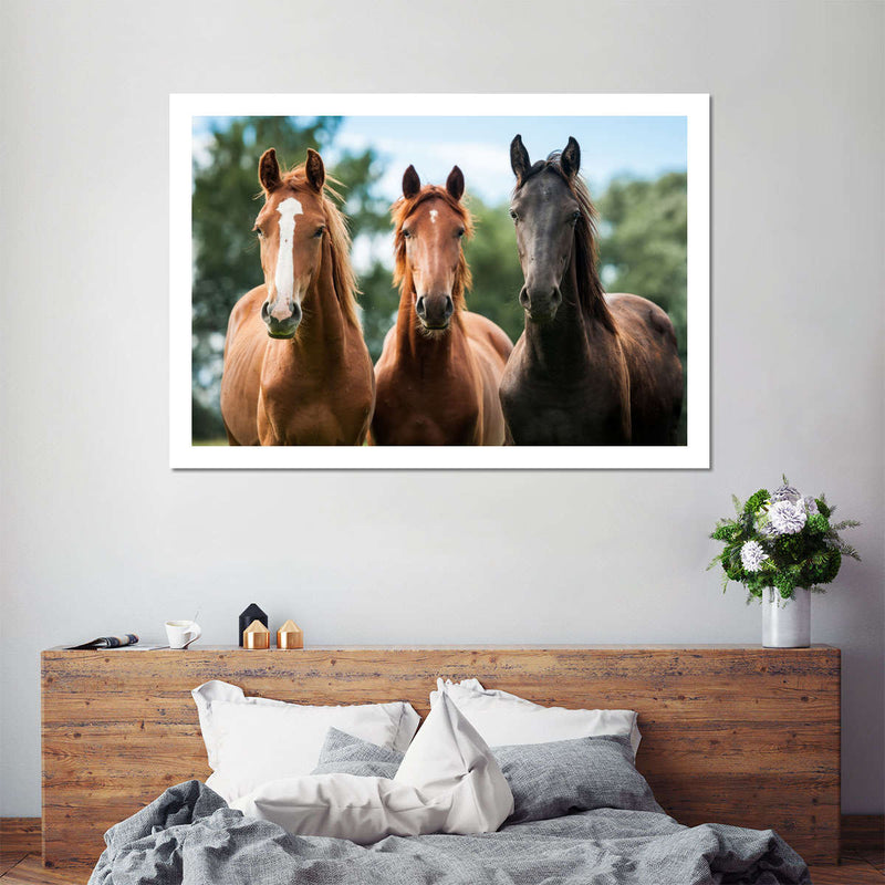 Young Horses Wall Art