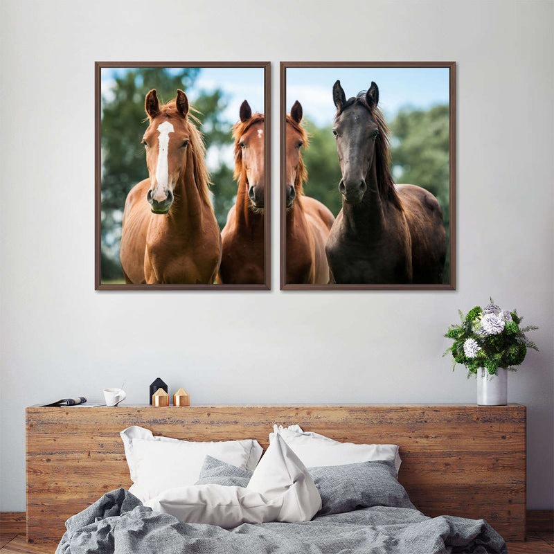 Young Horses Wall Art