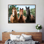 Young Horses Wall Art