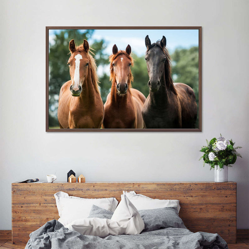 Young Horses Wall Art