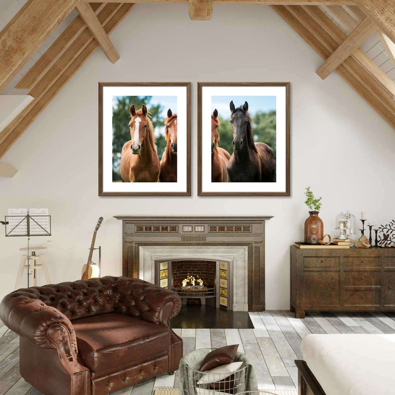 Young Horses Wall Art