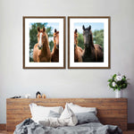 Young Horses Wall Art