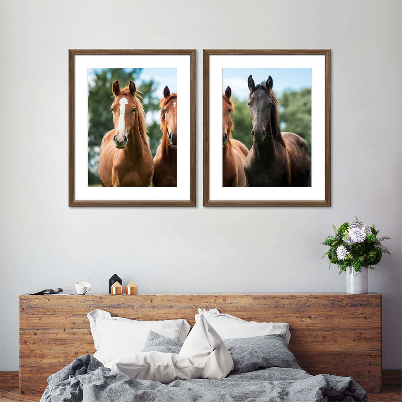 Young Horses Wall Art