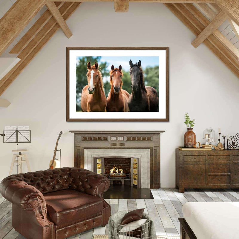 Young Horses Wall Art